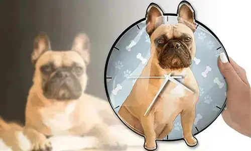 gallery-photo-wall-clock-cat-dog-1