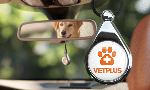 Profumatore per auto con logo di marca – da appendere allo specchietto retrovisore