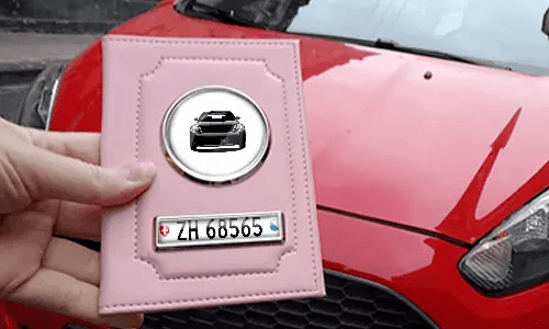 Pink Car Documents Holder