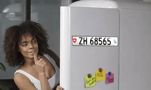 Registreringsskyltmagnet