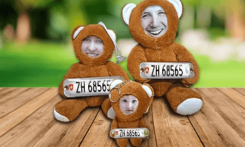 Car Photo Stuff Toy Bear