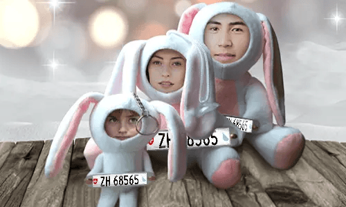 Car Photo Stuff Toy Bunny