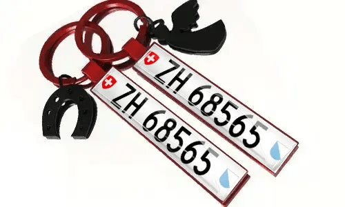 Metal keychains with license plate numbers and accessories