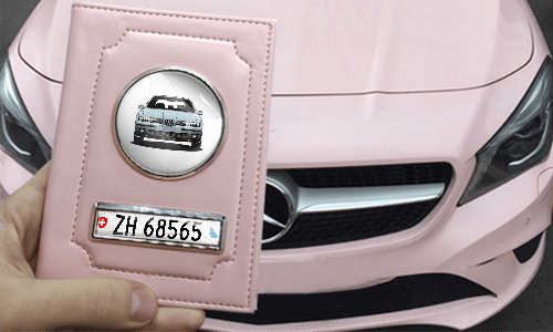 gallery-photo-car-documents-holder-pink-6